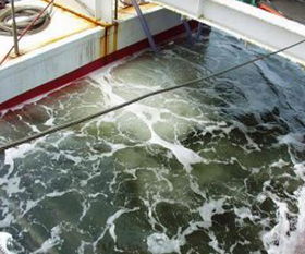 沐宸環境廠家直銷 曝氣微納米氣泡發生器制造廠家