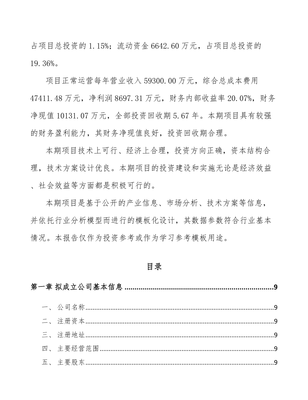 XX關(guān)于成立環(huán)境保護(hù)專用設(shè)備公司可行性研究報(bào)告