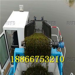 嘉興海鹽水草收割機治理污染河道打撈水葫蘆