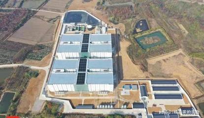 紫牛新聞記者探訪養(yǎng)豬"新基建"二師兄跑出智能"加速度"